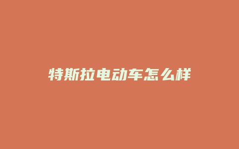 特斯拉电动车怎么样