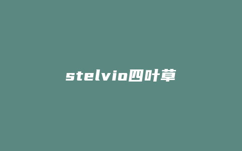 stelvio四叶草怎么样