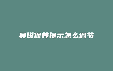 昊锐保养提示怎么调节