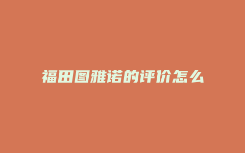 福田图雅诺的评价怎么样