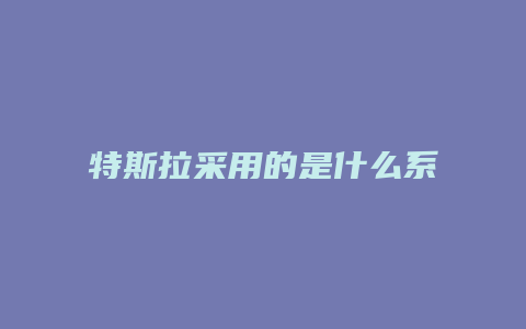 特斯拉采用的是什么系统