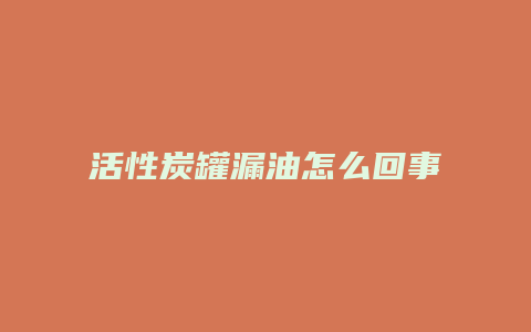 活性炭罐漏油怎么回事