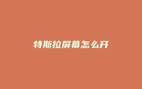 特斯拉屏幕怎么开