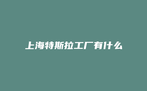 上海特斯拉工厂有什么要求