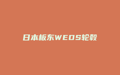 日本板东WEDS轮毂怎么样