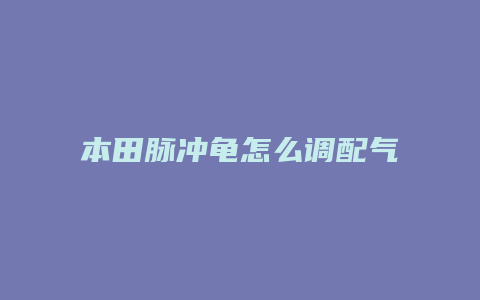 本田脉冲龟怎么调配气时间