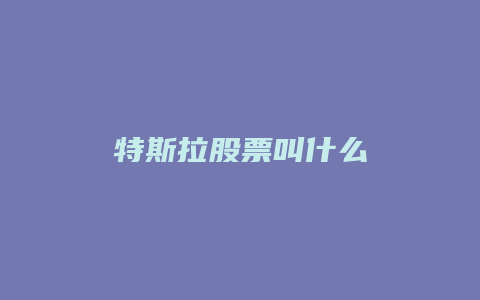 特斯拉股票叫什么