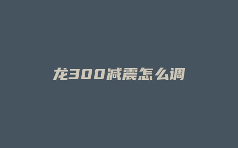 龙300减震怎么调