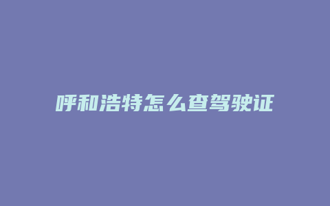 呼和浩特怎么查驾驶证信息网