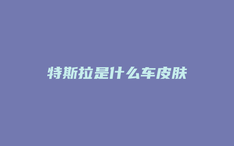 特斯拉是什么车皮肤