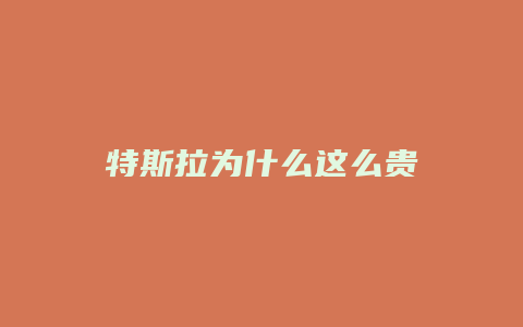 特斯拉为什么这么贵