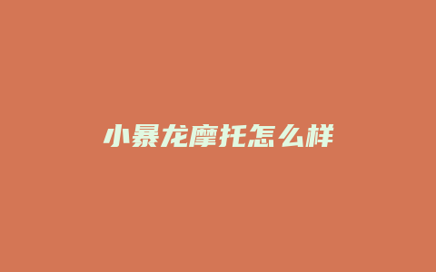 小暴龙摩托怎么样