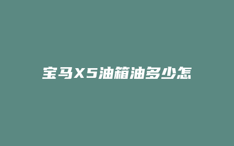 宝马X5油箱油多少怎么看