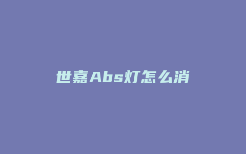 世嘉Abs灯怎么消