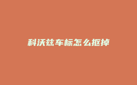 科沃兹车标怎么抠掉