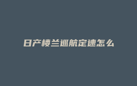 日产楼兰巡航定速怎么用