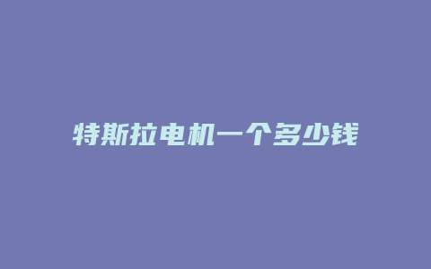 特斯拉电机一个多少钱