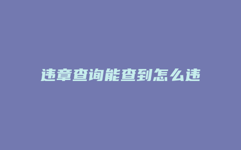 违章查询能查到怎么违章的吗