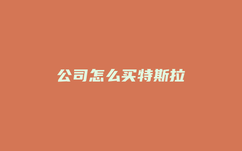 公司怎么买特斯拉