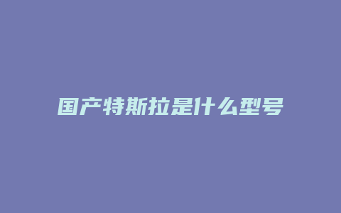 国产特斯拉是什么型号