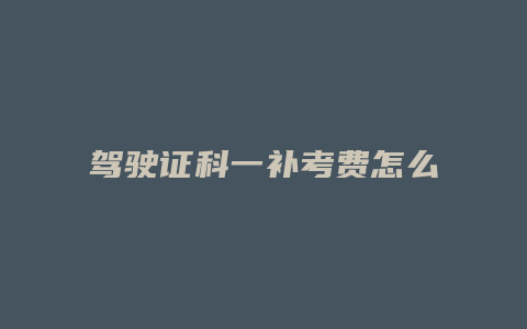 驾驶证科一补考费怎么缴费