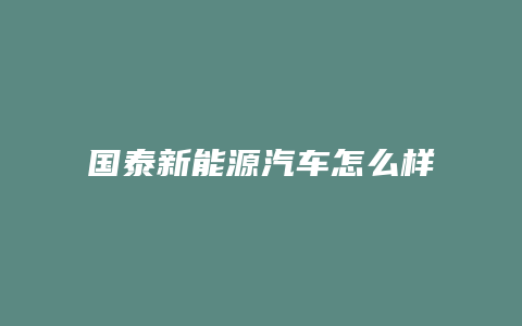 国泰新能源汽车怎么样