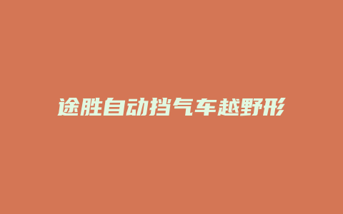 途胜自动挡气车越野形怎么开