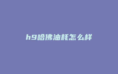 h9哈佛油耗怎么样