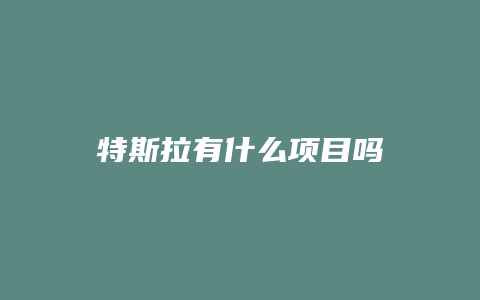 特斯拉有什么项目吗