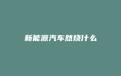 新能源汽车然烧什么