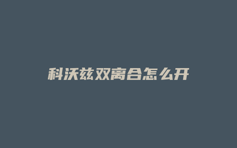 科沃兹双离合怎么开