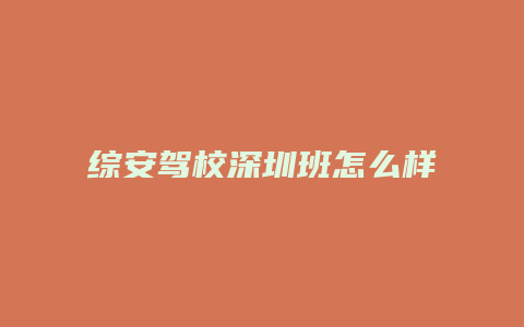 综安驾校深圳班怎么样