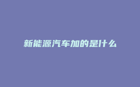 新能源汽车加的是什么