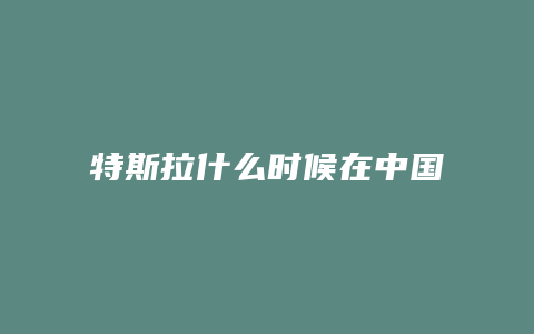 特斯拉什么时候在中国上市