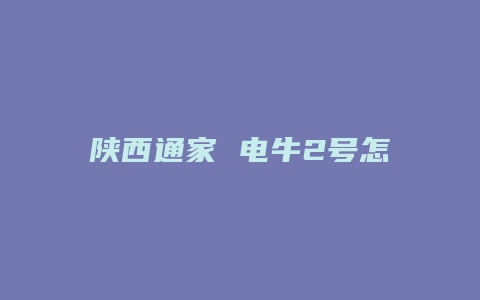 陕西通家 电牛2号怎么么样