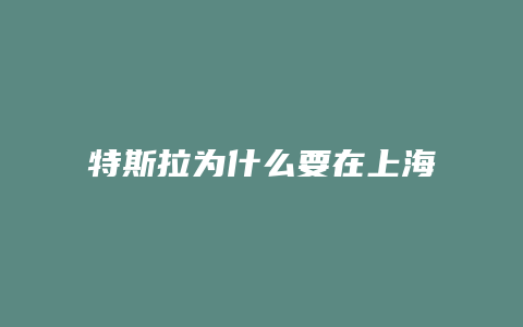 特斯拉为什么要在上海建厂