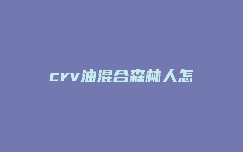 crv油混合森林人怎么选