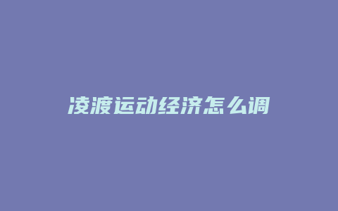 凌渡运动经济怎么调