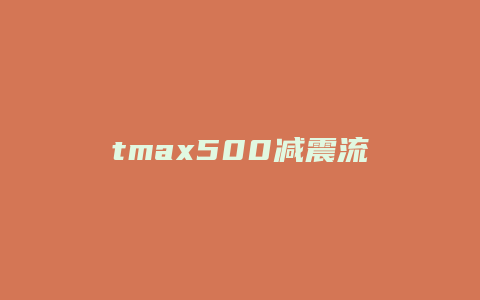 tmax500减震流油怎么回事