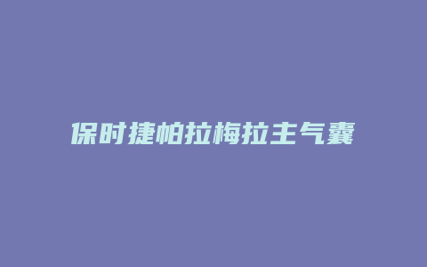 保时捷帕拉梅拉主气囊怎么拆