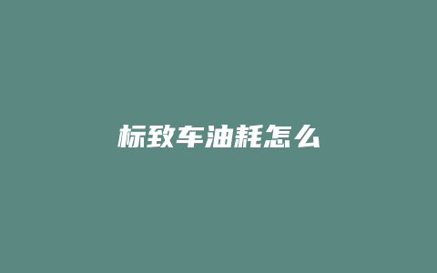 标致车油耗怎么