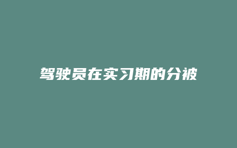 驾驶员在实习期的分被扣完了怎么办