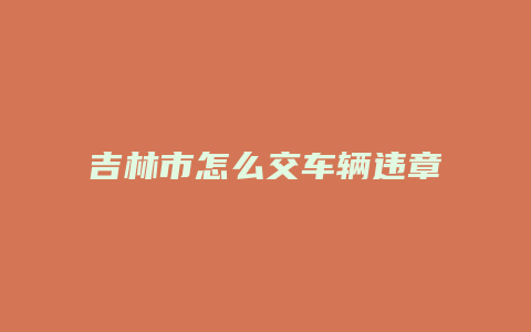 吉林市怎么交车辆违章罚款