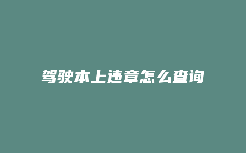 驾驶本上违章怎么查询系统