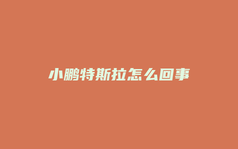 小鹏特斯拉怎么回事