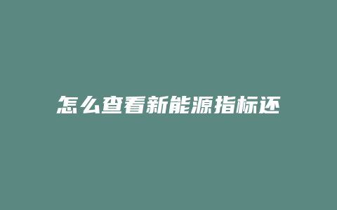 怎么查看新能源指标还有多少人