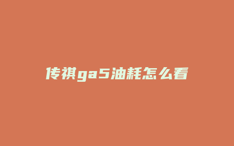 传祺ga5油耗怎么看