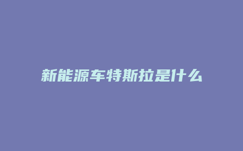 新能源车特斯拉是什么电池