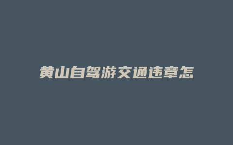 黄山自驾游交通违章怎么查询