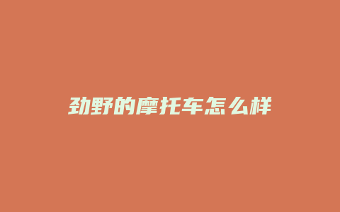 劲野的摩托车怎么样